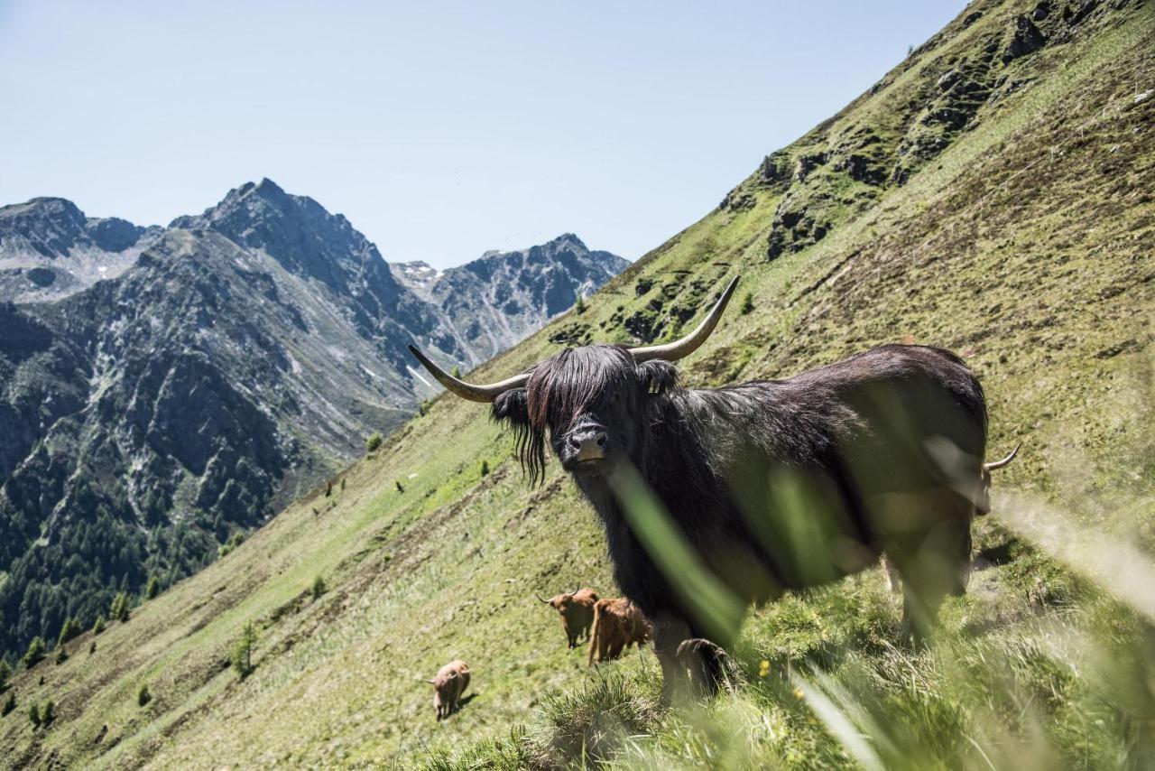 Archehof Hochzirm Lodge Anna Campo Tures Dış mekan fotoğraf